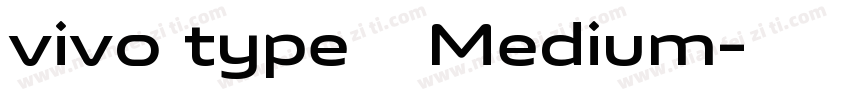vivo type 简 Medium字体转换